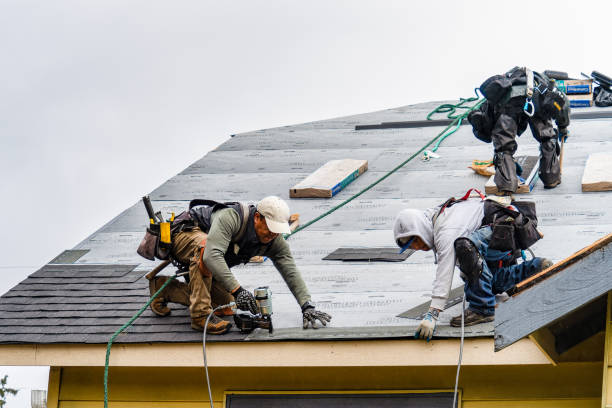 Professional Roof Replacement technician working in Conesville, IA